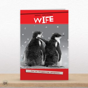 Wife You're Flippering Gorgeous - Christmas Card For Wife