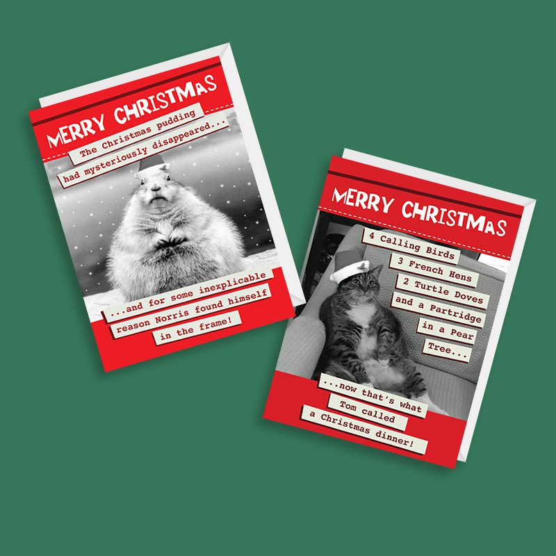 Christmas Cards Multipack Of 12 Funny Animal Themed Cards - Image 2