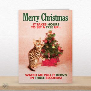 It Takes Hours To Set A Tree Up... - Funny Cat Christmas Card