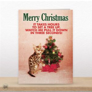 It Takes Hours To Set A Tree Up... - Funny Cat Christmas Card