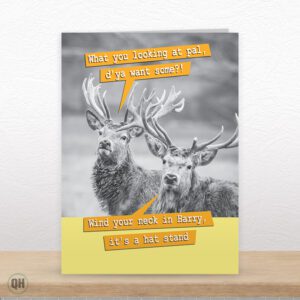 Wind Your Neck In Harry, It's A Hat Stand... - Funny Animal Greetings Card