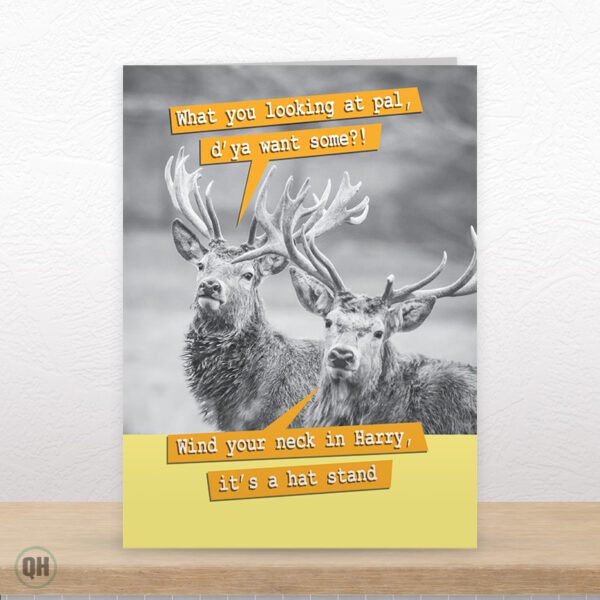 Wind Your Neck In Harry, It's A Hat Stand... - Funny Animal Greetings Card
