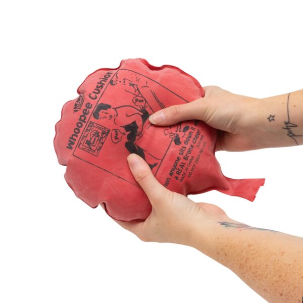 CLASSIC JOKES WHOOPEE CUSHION BLISTER PACK - Image 2