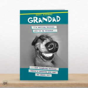I'm Smiling Because You're My Grandad... - Funny Grandad Birthday Card