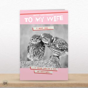 To My Wife, I Think You're A Bit Of Owlright! - Funny Wife Anniversary Card
