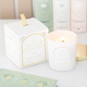 The Enchanted Library Leather, Patchouli & Amber Candle