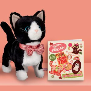 Cat Gift Bundle, Card and Animatronic Toy Cat