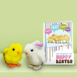 Easter Rabbit and Chick Gift Bundle, Card and Clockwork Easter Animals