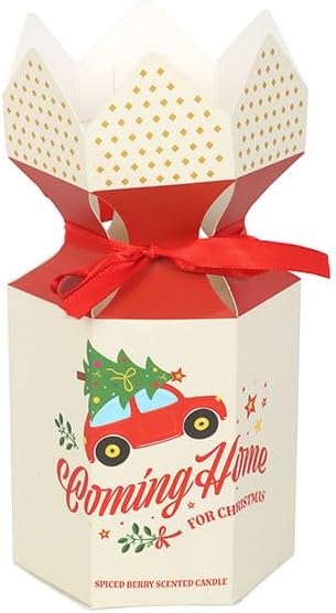 Coming Home for Christmas Spiced Berry Candle - Image 4