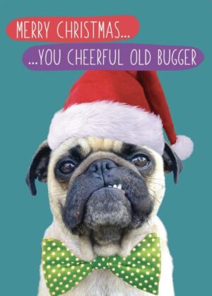 Funny Christmas Card Cheerful Old Bugger