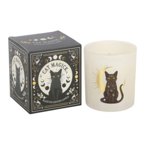 Black Cat Magick Black Fig Candle – Mystical Scented Candle