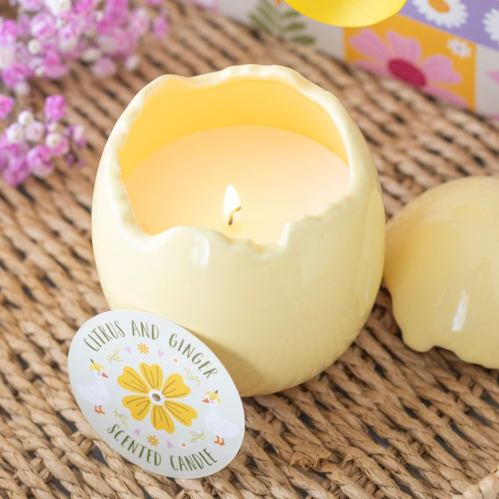 Citrus & Ginger Egg Shaped Candle - Image 2