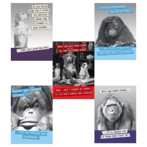 Funny Animal Birthday Cards Multipack of 5